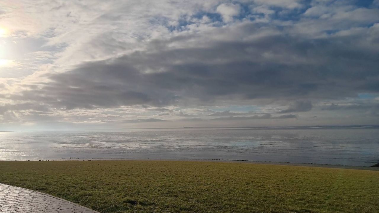 AreaSummer5KM AreaSummer5KM